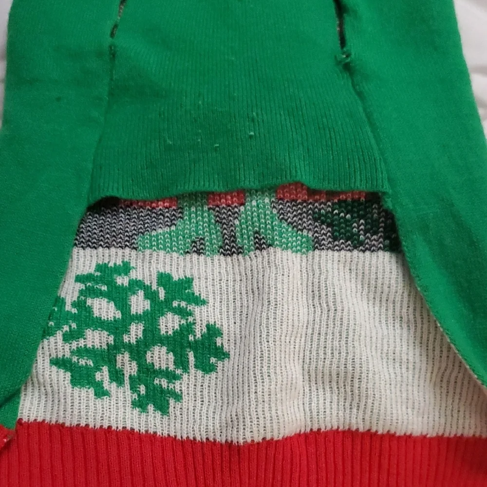 Festive Santa Dog Sweater - Red and Green
